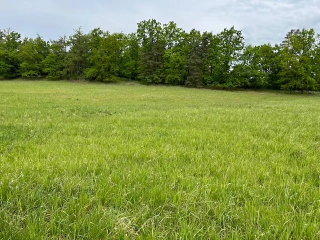 Prodej pole 39778 m²
